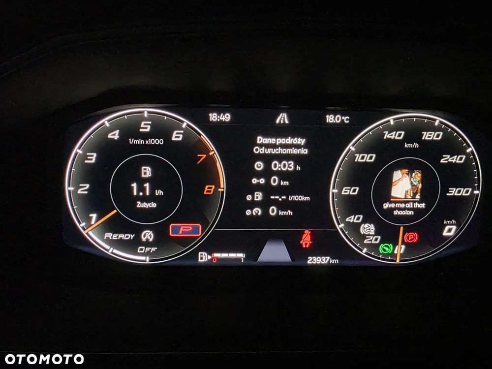 Cupra Formentor 2.0 TSI 4Drive DSG - 16