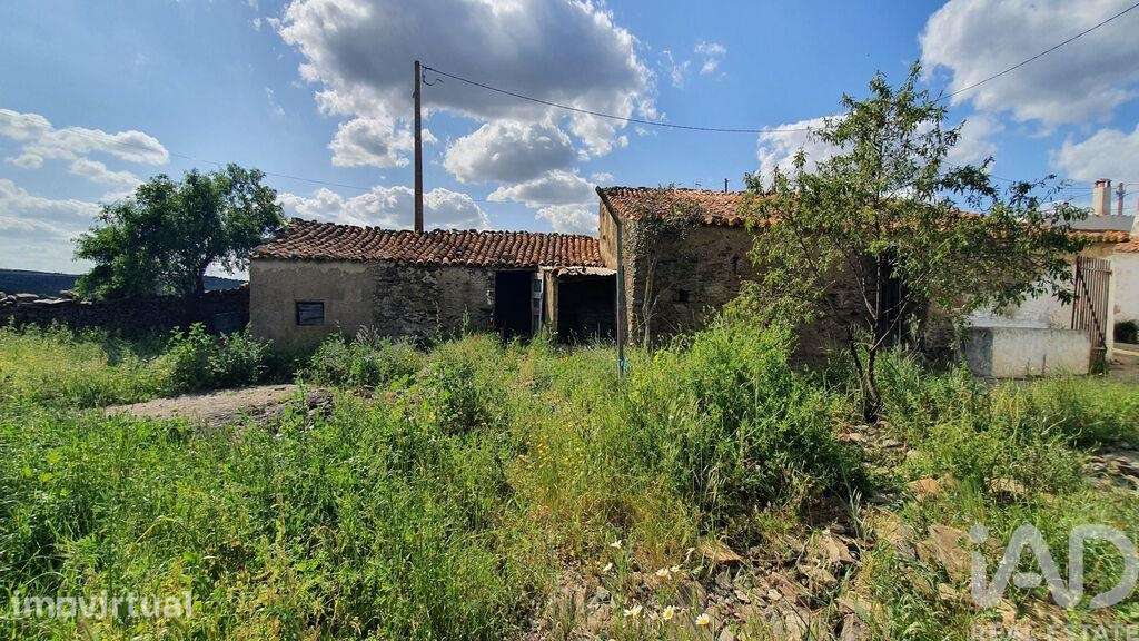 Terreno para construção em Alcoutim e Pereiro - Grande imagem: 2/27