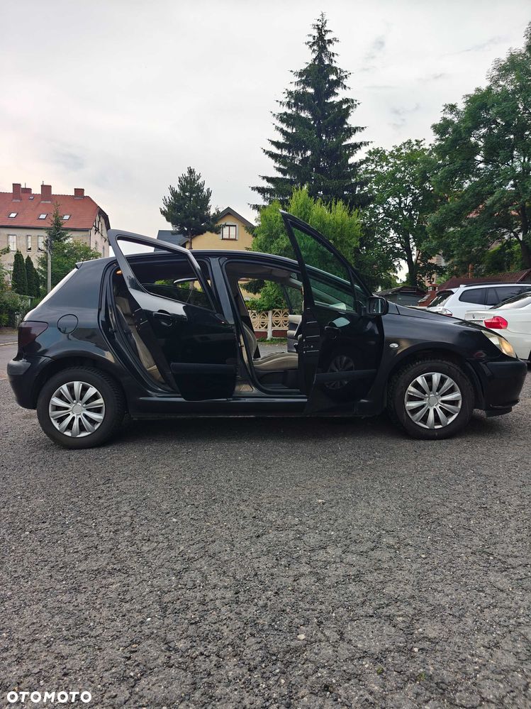 Peugeot 307 - 8