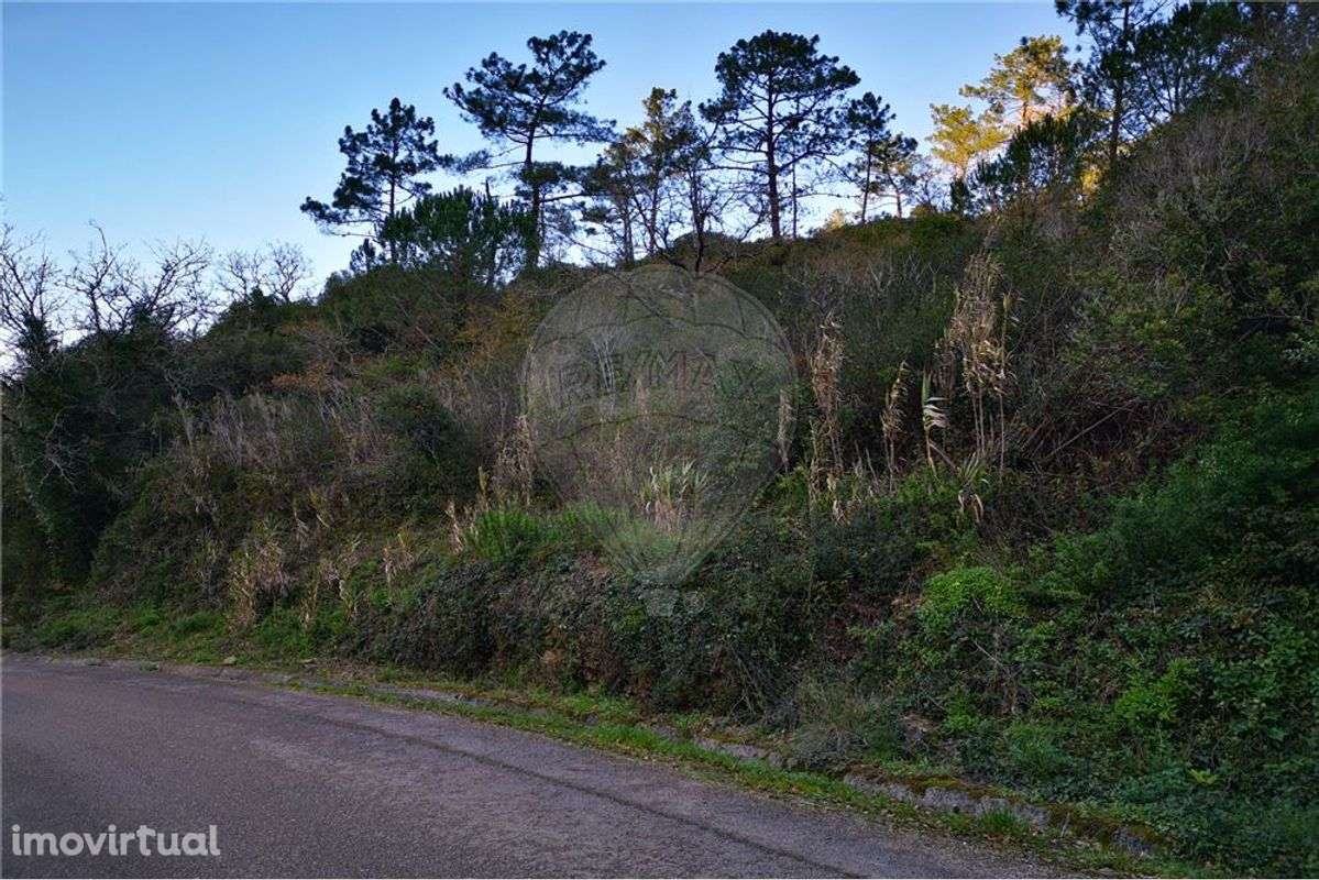 Terreno  para venda - Grande imagem: 3/4