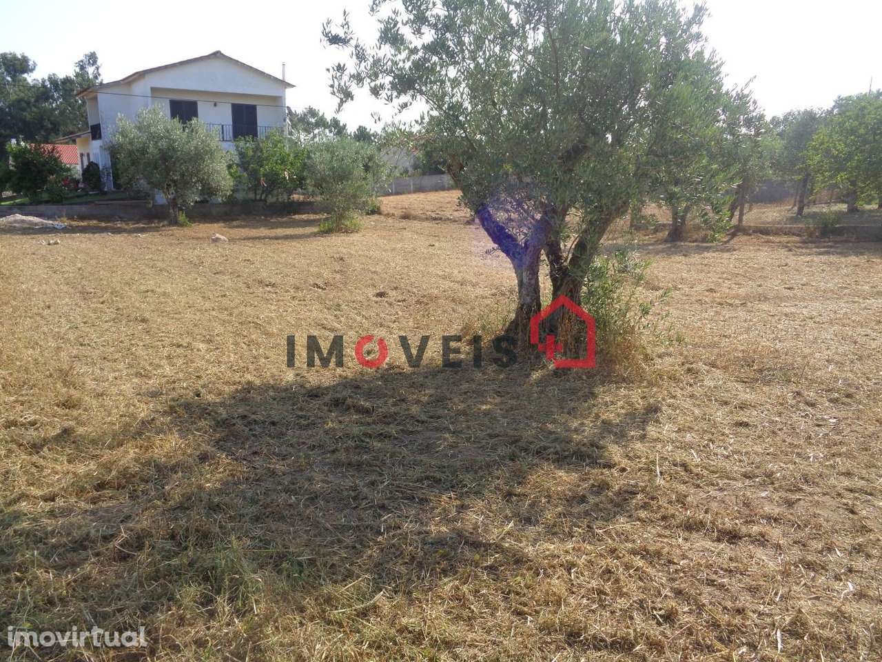 Terreno para Construção - Grande imagem: 3/3