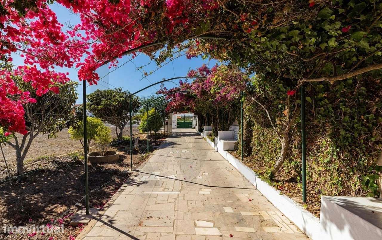 Propriedade única com 3.400 m2 com localização Premium em Sagres - Grande imagem: 2/36