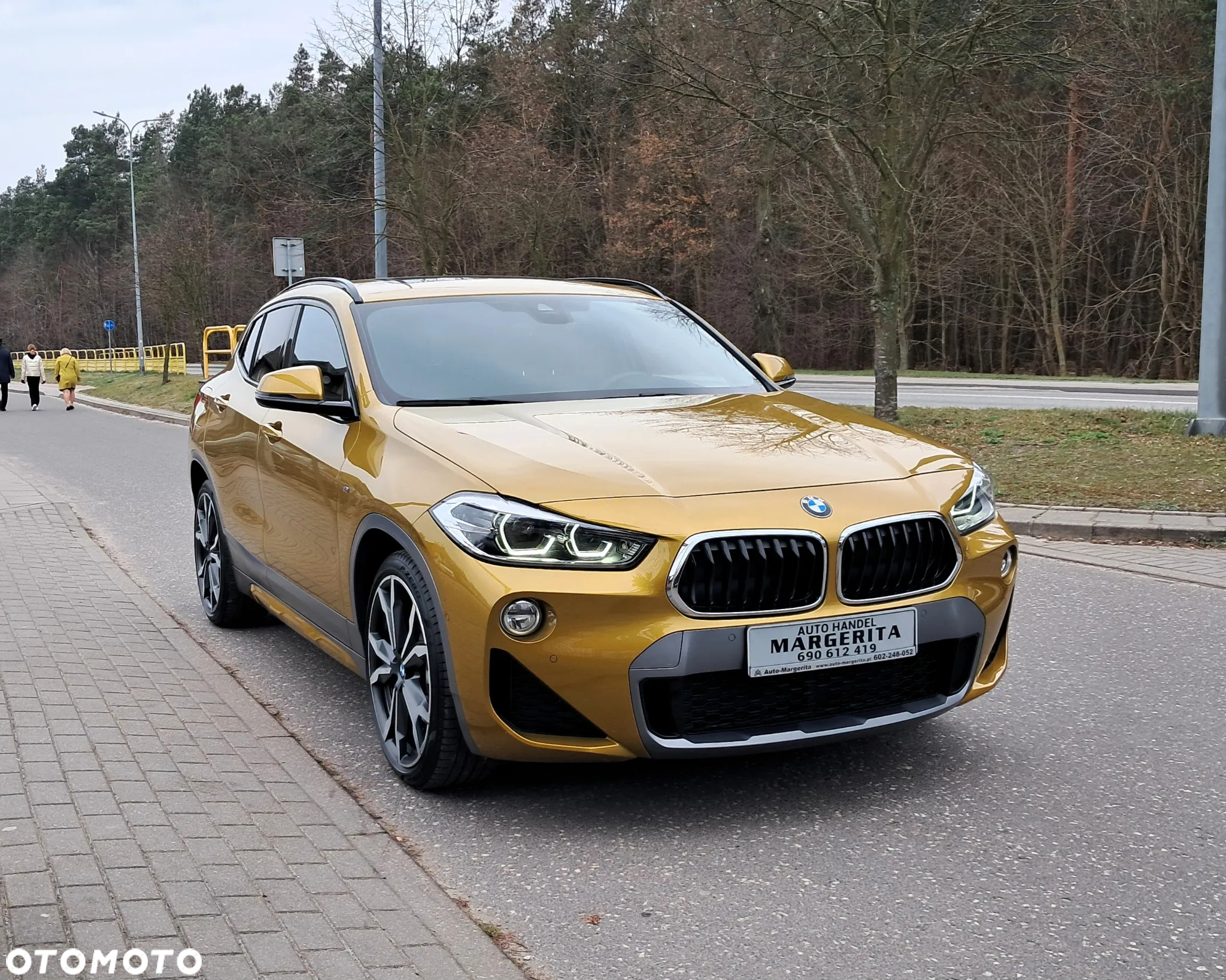 BMW X2 xDrive20d M Sport X - 7