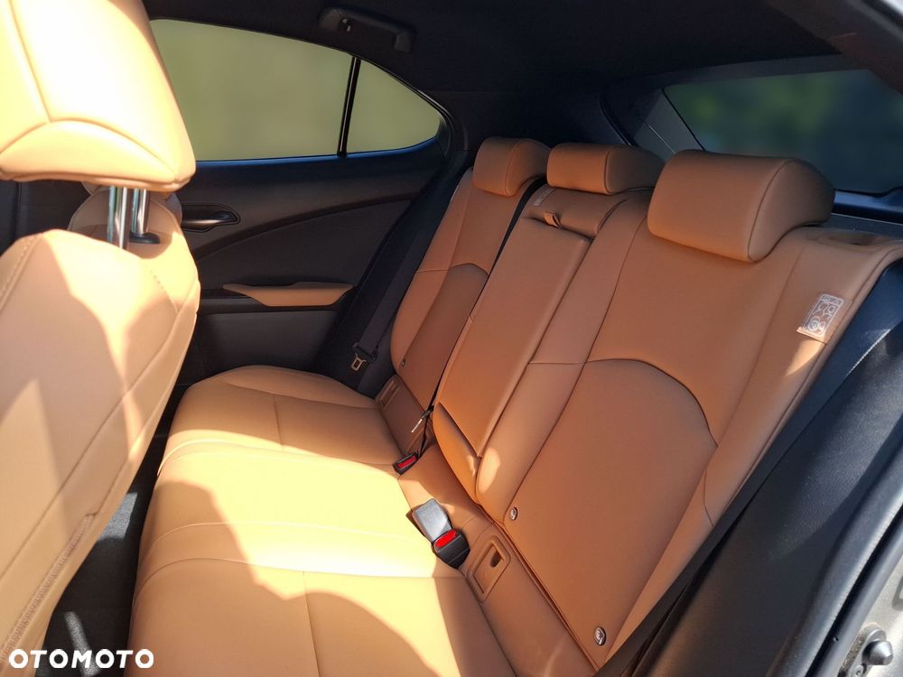 Lexus UX 200 GPF F Sport Design+ 2WD - 13