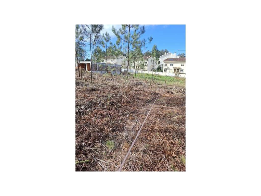 Terreno para construção de moradia isolada - Pedroso - Grande imagem: 4/4