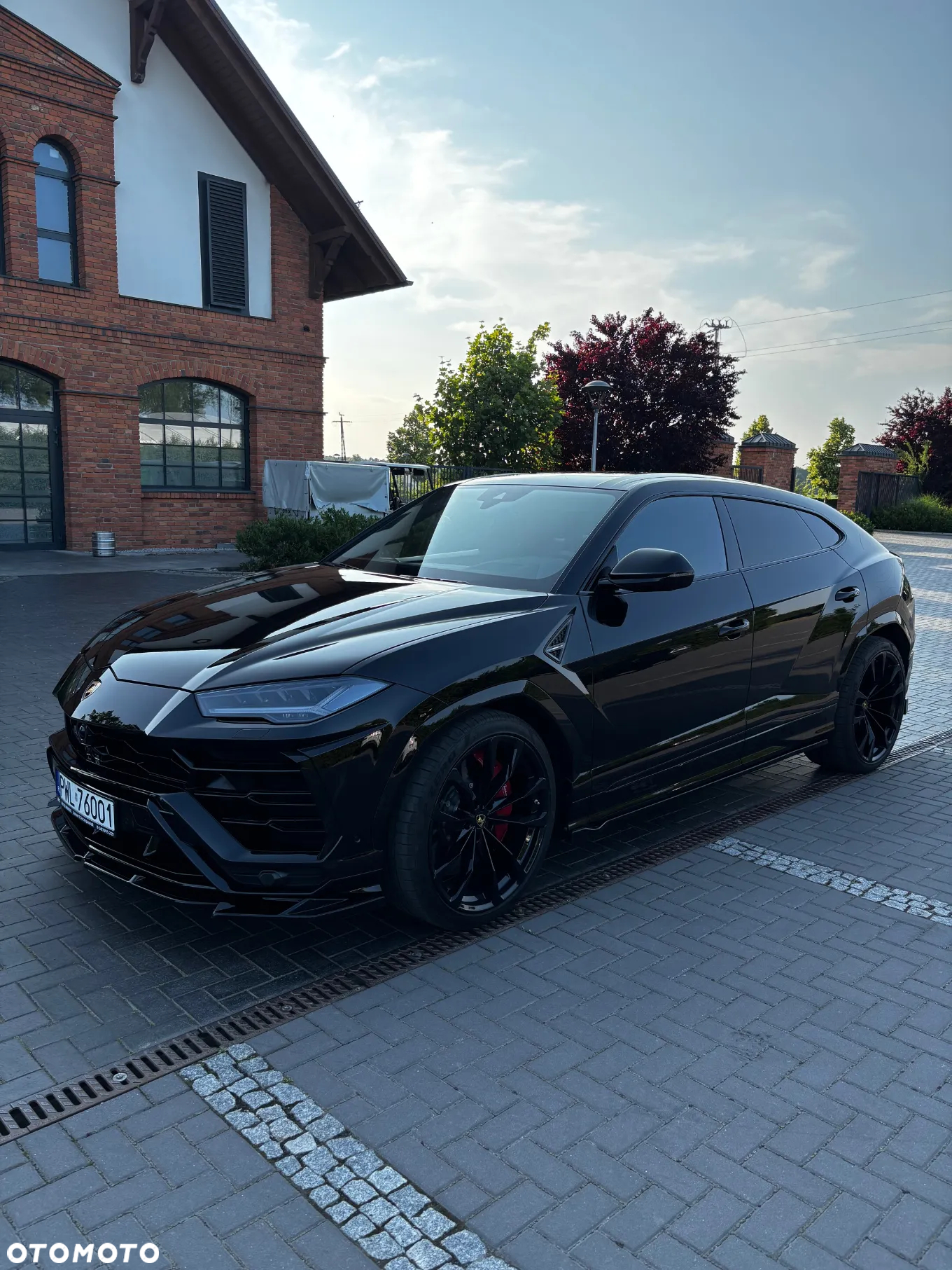 Lamborghini Urus Standard - 20