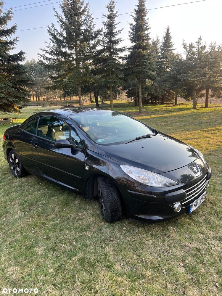 Peugeot 307 CC 1.6 - 7