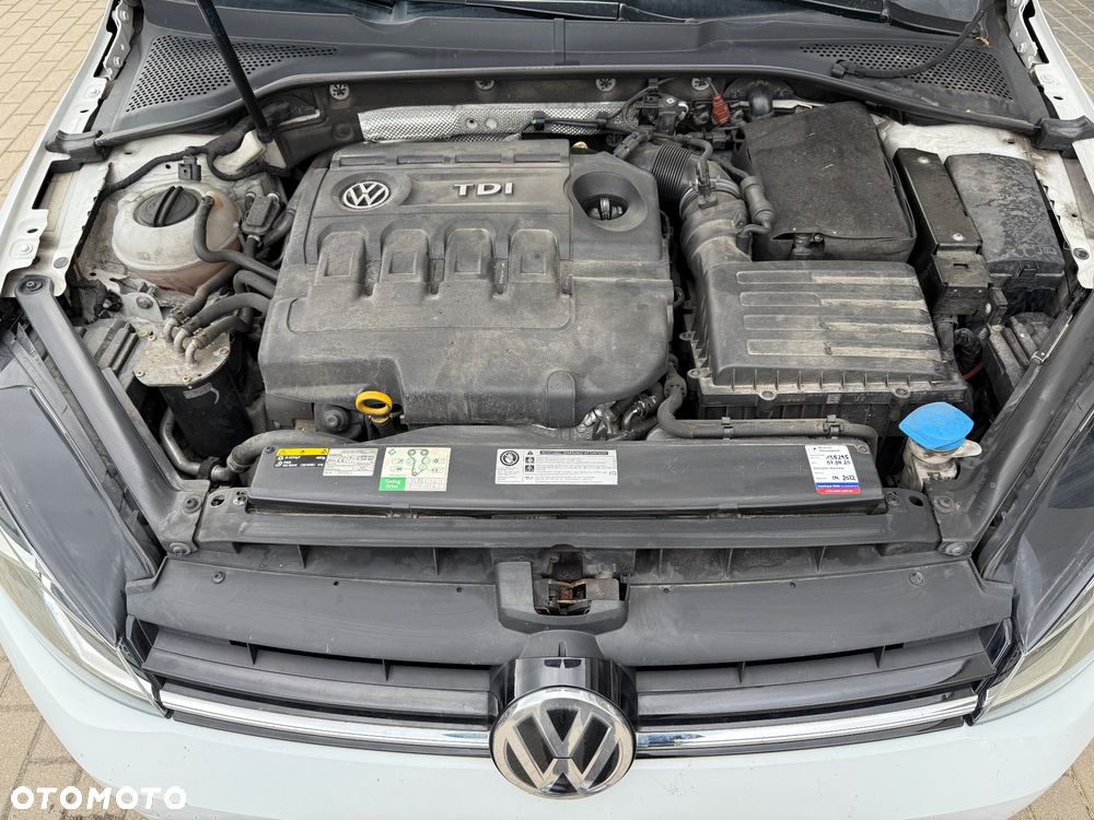 Volkswagen Golf - 23