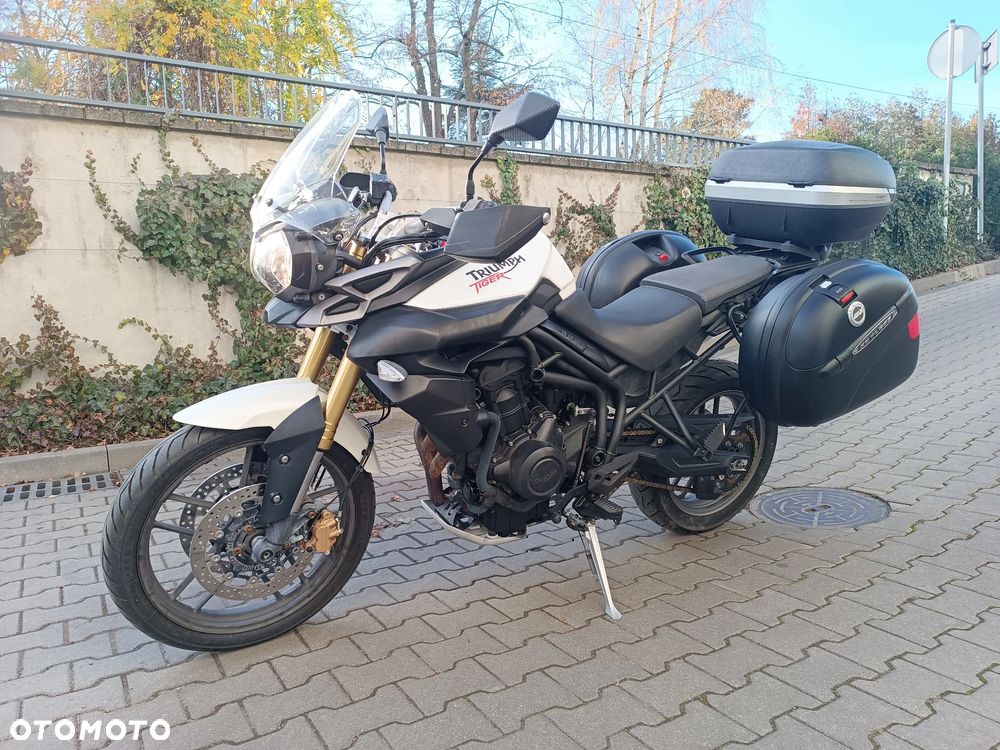 Triumph Tiger - 5