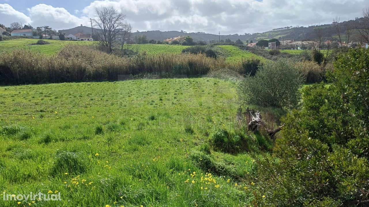 Terreno rustico 40560m2 em Sapataria - Grande imagem: 3/4