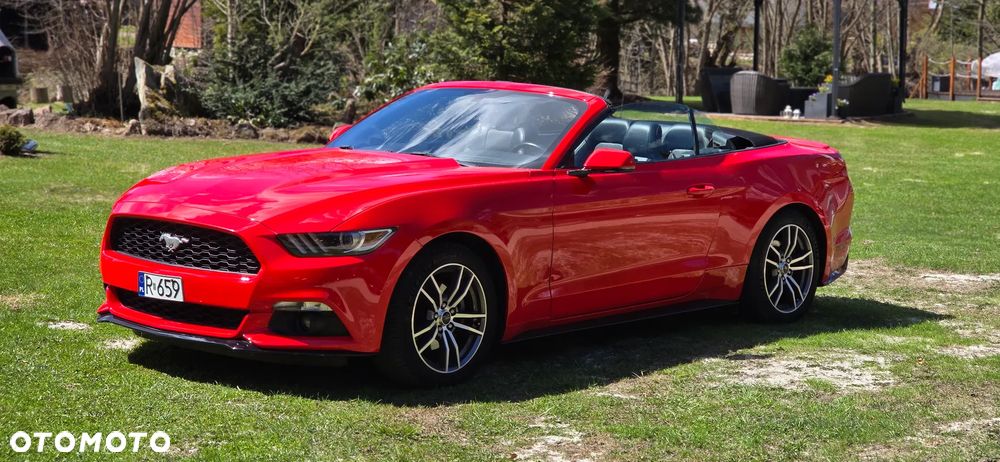 Ford Mustang Cabrio 2.3 Eco Boost - 10