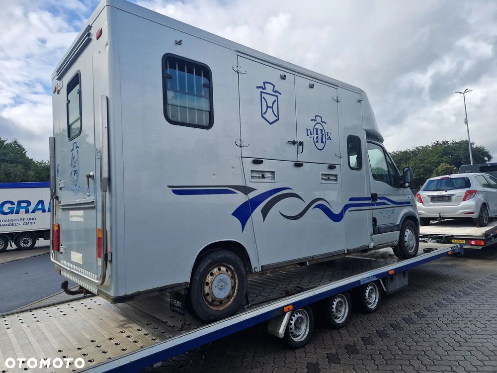Renault Master Theault koniowóz - 28