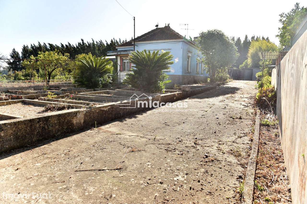 QUINTA COM MORADIA T3 ISOLADA - Grande imagem: 4/30