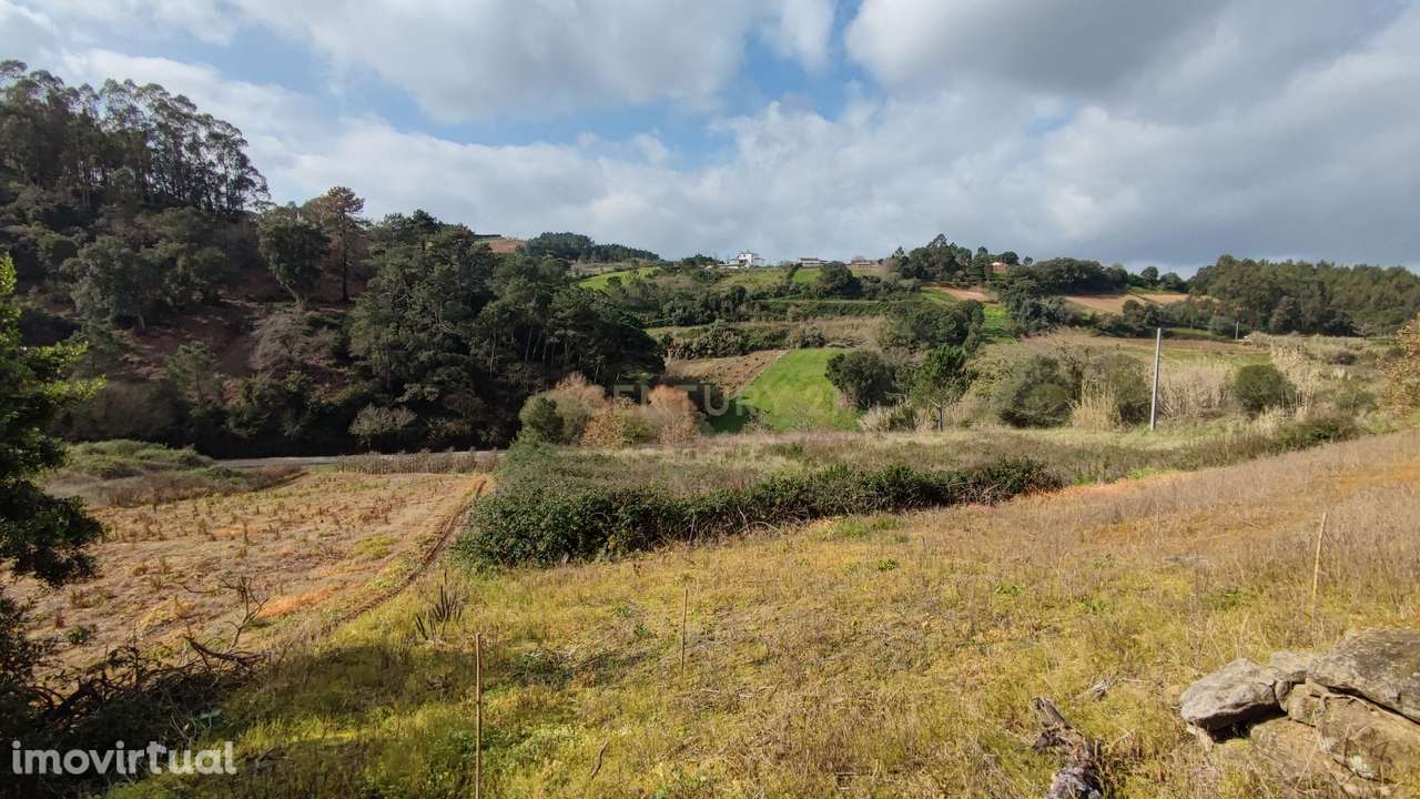Terreno com ruina inserido no meio da Natureza - Grande imagem: 4/20