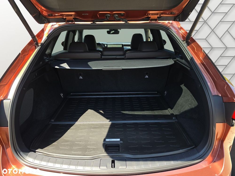 Lexus RX - 29
