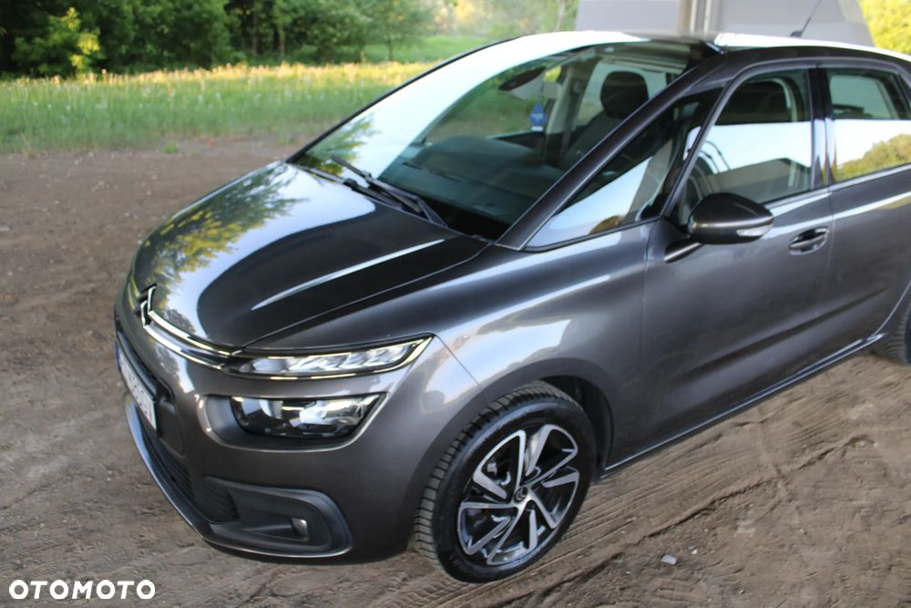 Citroën C4 SpaceTourer 1.5 BlueHDi Shine S&S EAT8 - 39