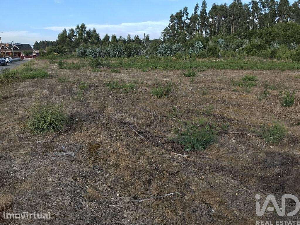 Terreno para construção em Ovar, São João, Arada e São Vicente de Pere - Grande imagem: 3/27