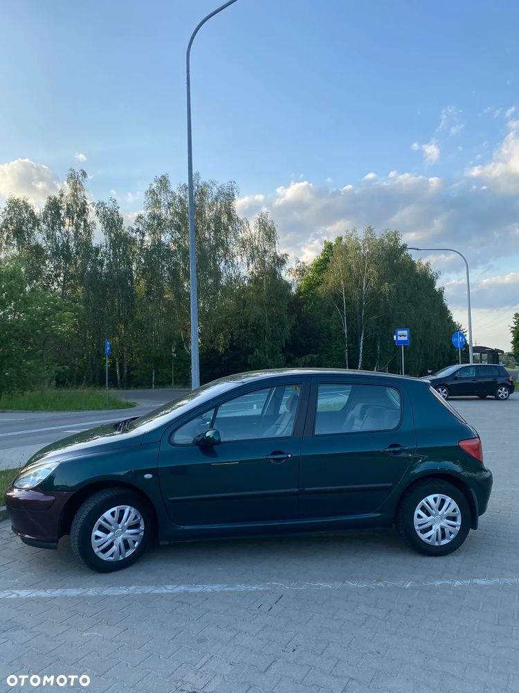 Peugeot 307 1.4 XR - 3
