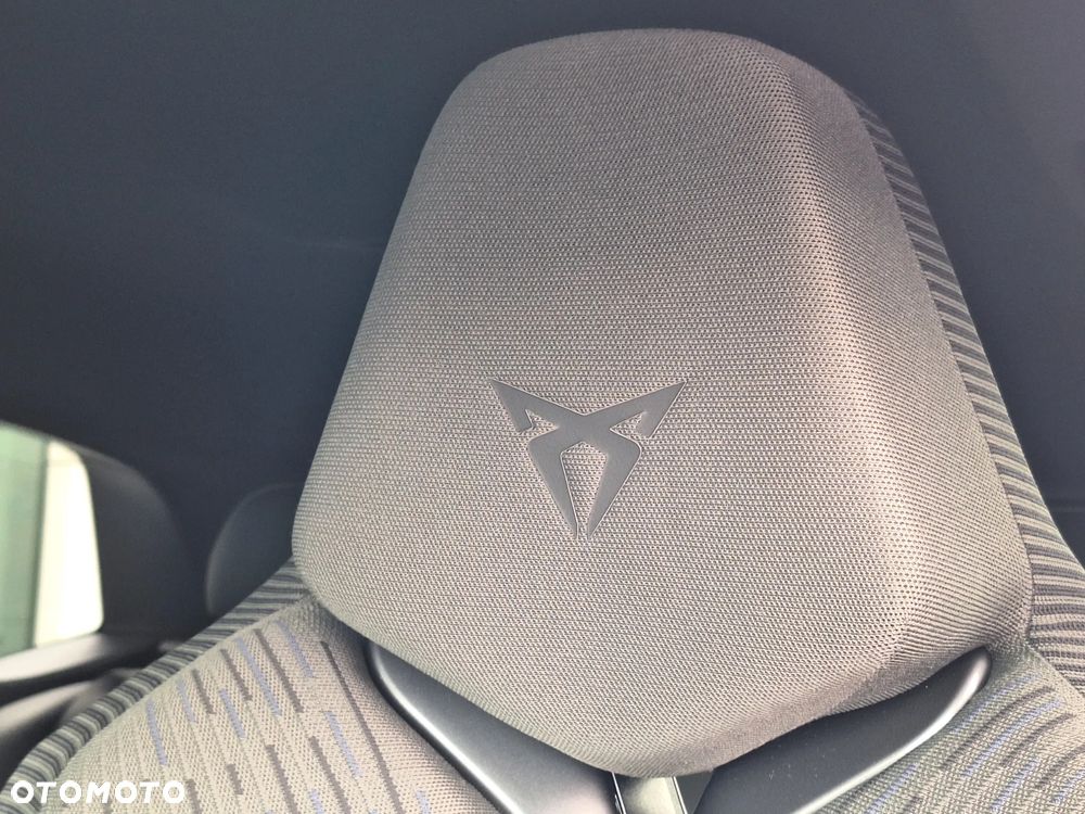 Cupra Terramar 2.0 TSI 4Drive VZ Tribe Edition DSG - 22