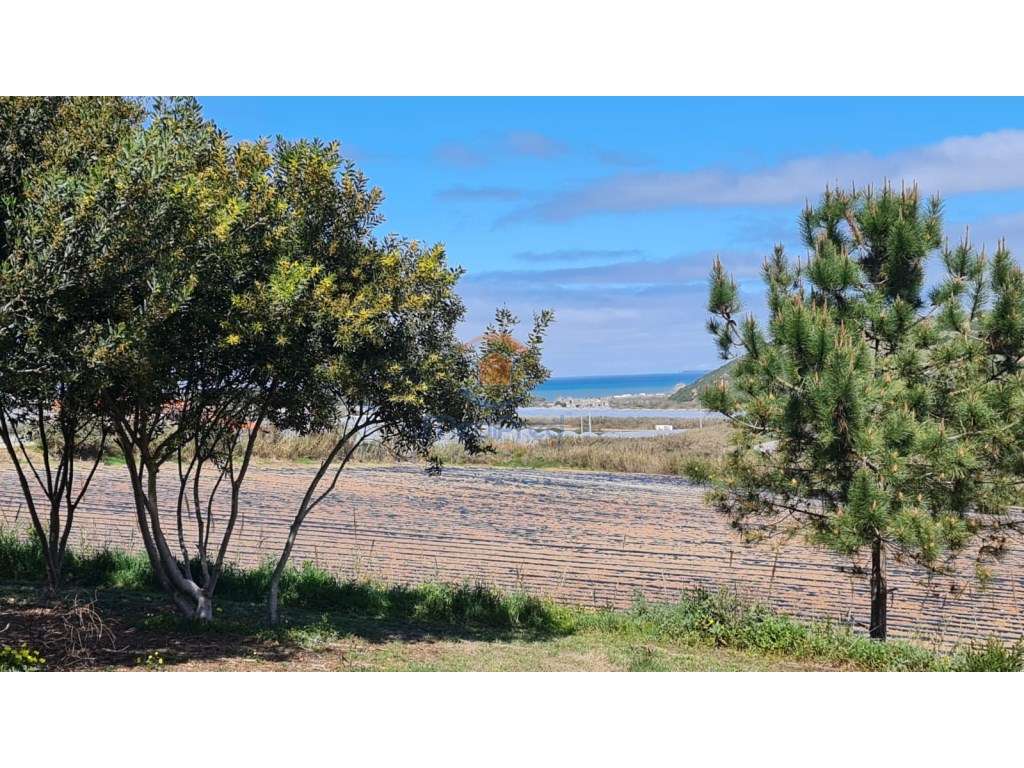 Terreno rústico com VISTA DE MAR! | A dos Cunhados, Torres Vedras - Grande imagem: 2/4