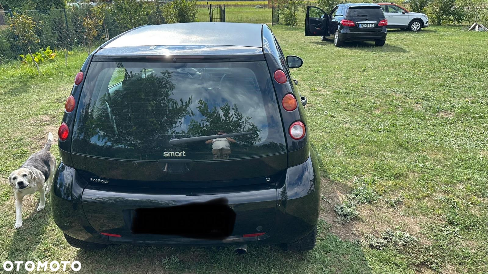 Smart Forfour pure - 4