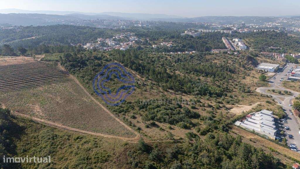Terreno|Armazém| Grande Retalho|Logística - Grande imagem: 4/18