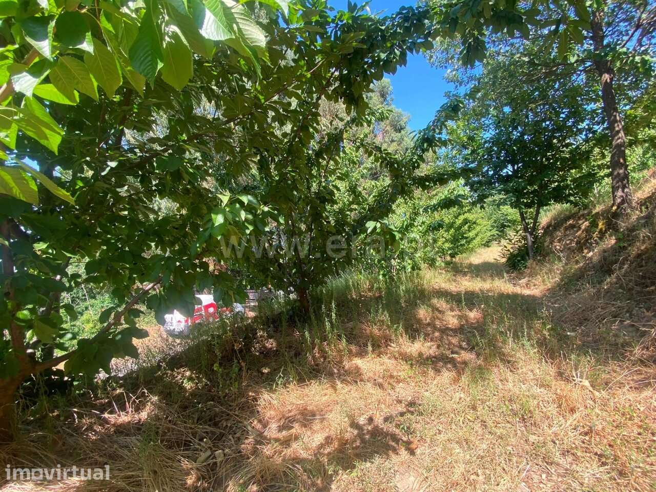 Quinta V0 Aldeia Nova do Cabo Fundão - Grande imagem: 3/8