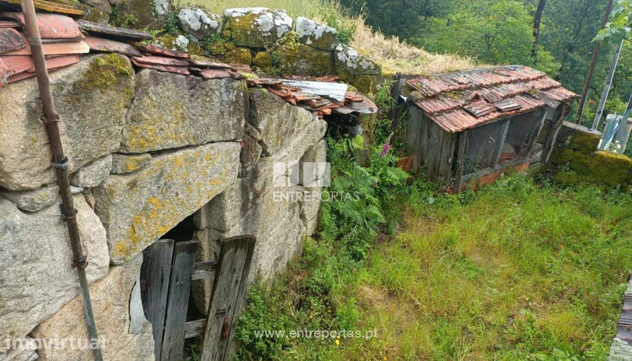 Venda de Quintinha, São Lourenço do Douro Marco de Canaveses - Grande imagem: 5/43