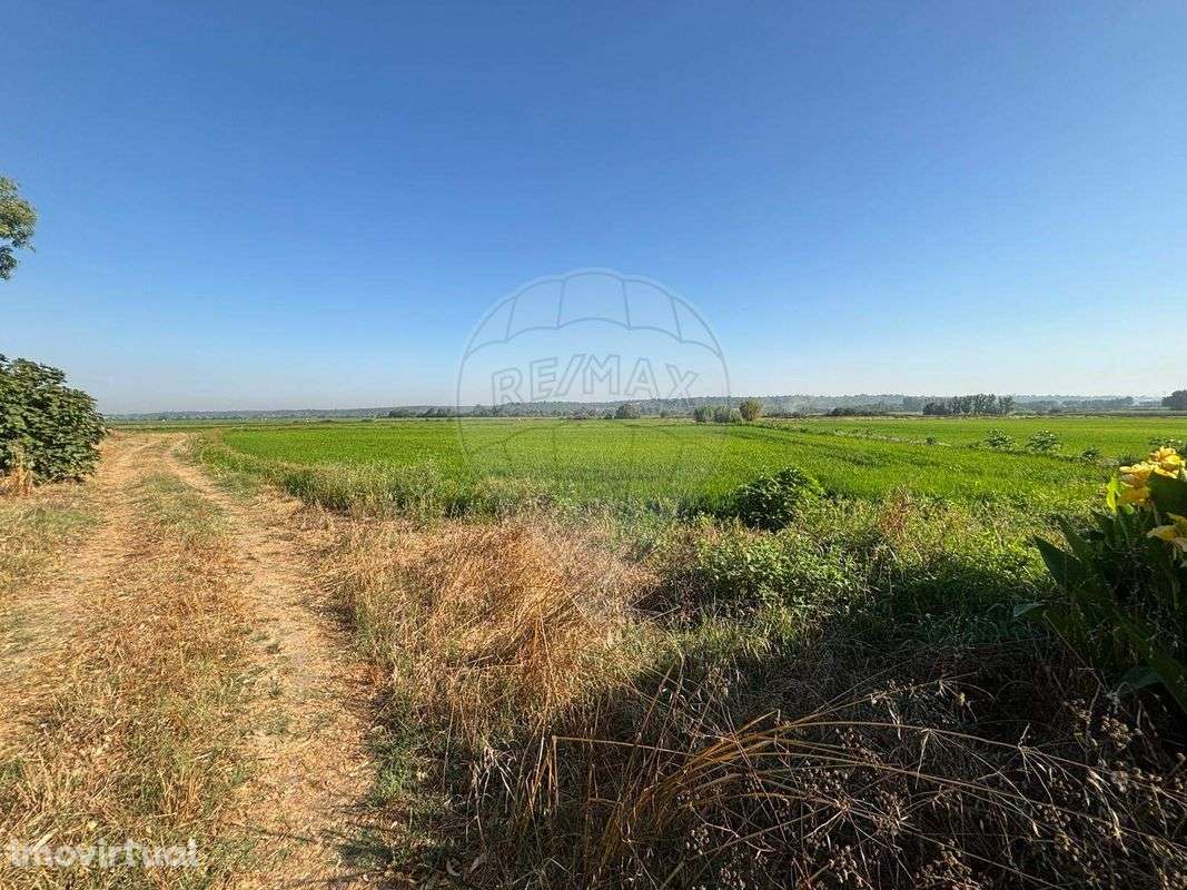 Quinta T2 para venda - Grande imagem: 2/29