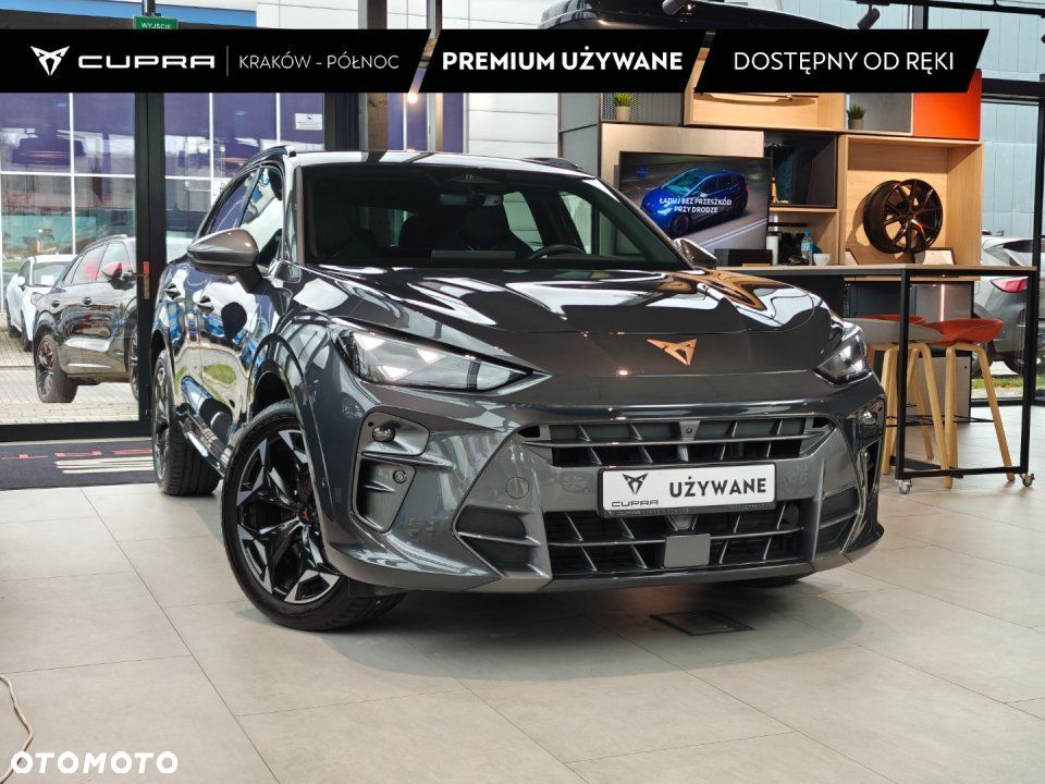 Cupra Terramar - 1