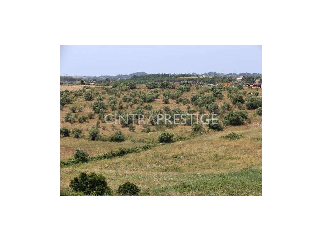 Terreno 24.000m2 com duas frentes para construção em Lourel- Sintra - Grande imagem: 4/16