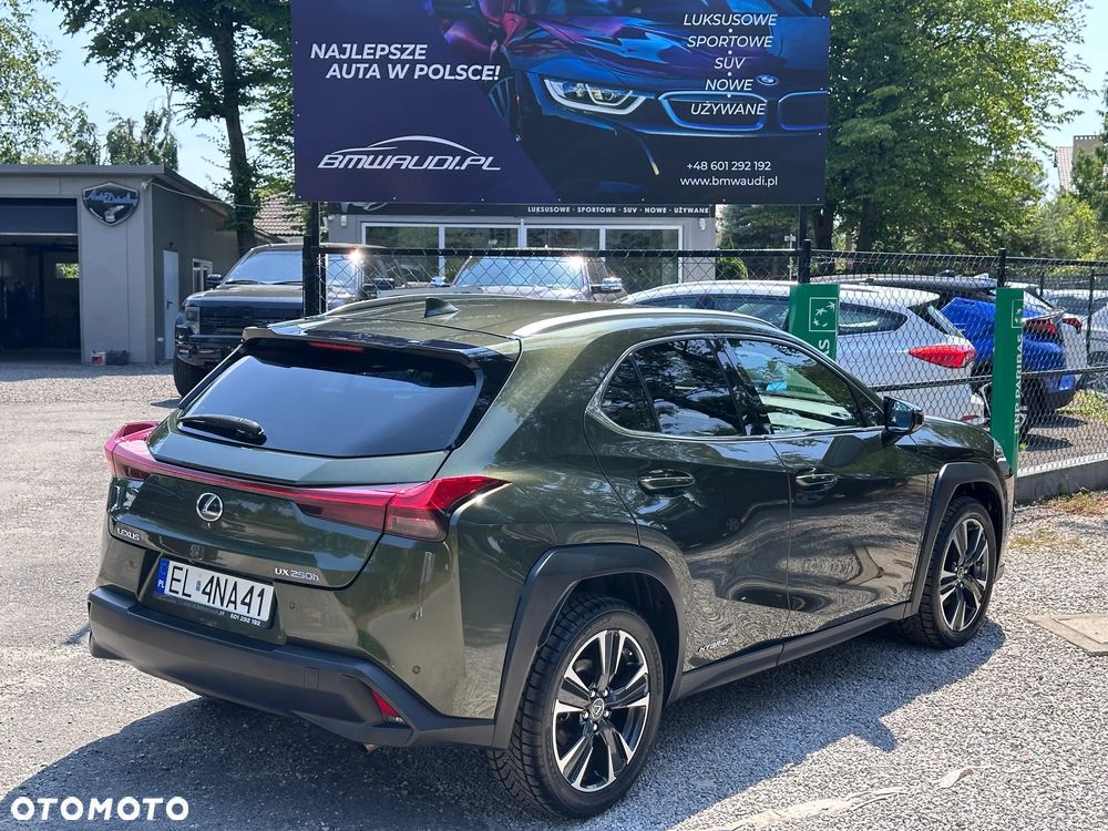 Lexus UX 250h Business Edition - 13