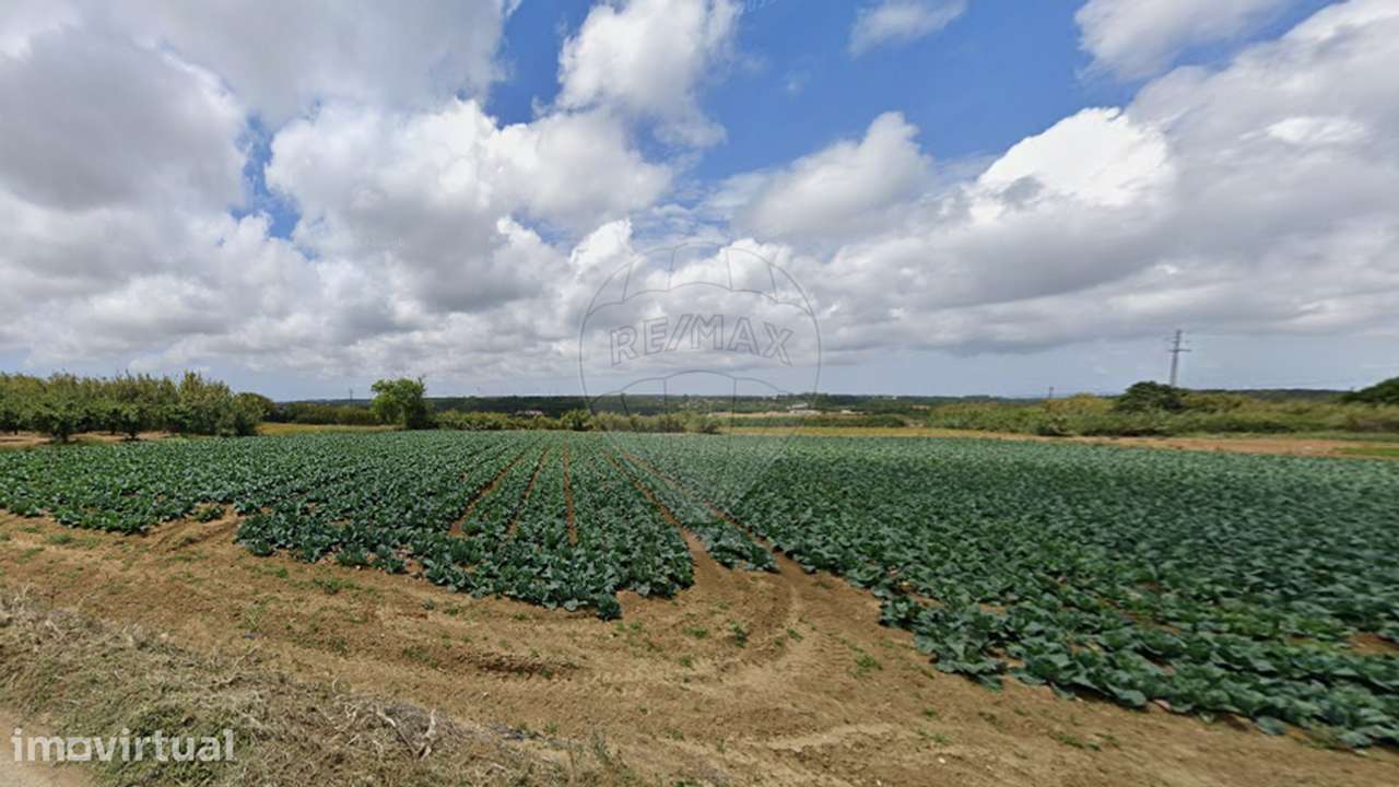Terreno  para venda - Grande imagem: 5/6