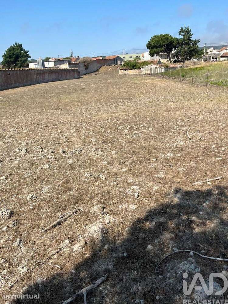 Terreno misto em Caldas da Rainha - Santo Onofre e Serra do Bouro - Grande imagem: 2/6