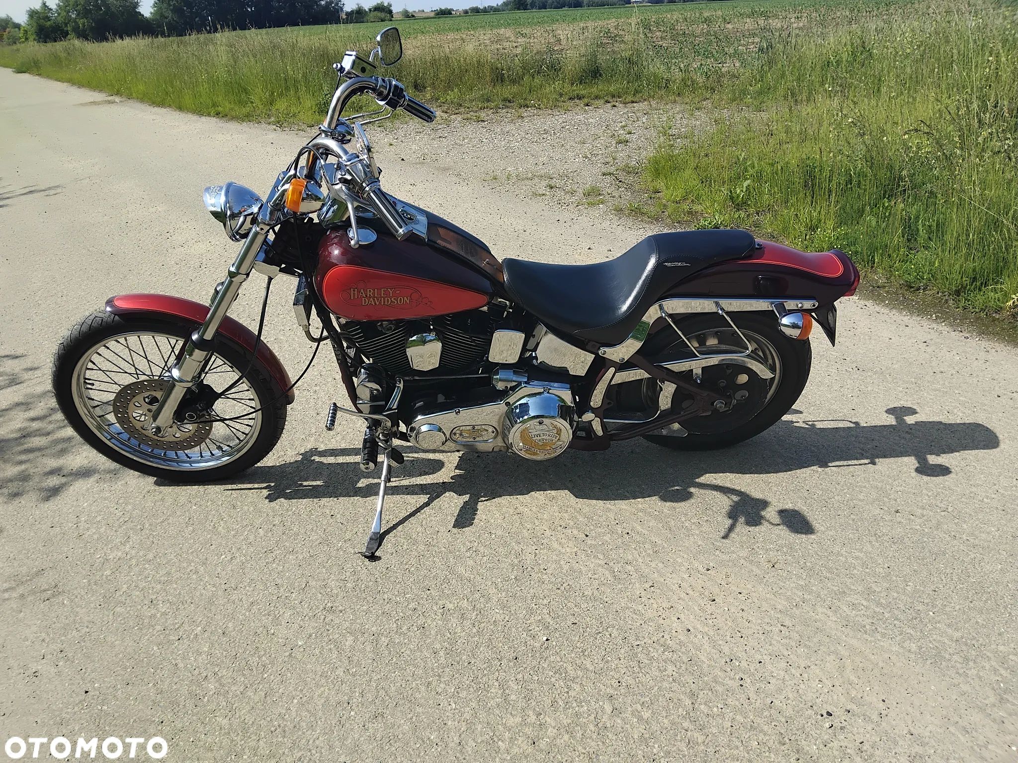 Harley-Davidson Softail - 1