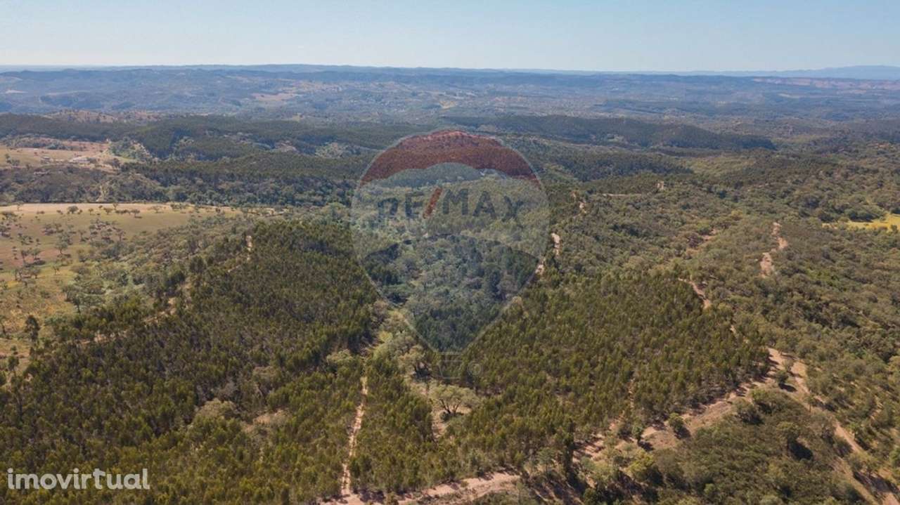 Quinta  para venda - Grande imagem: 3/30