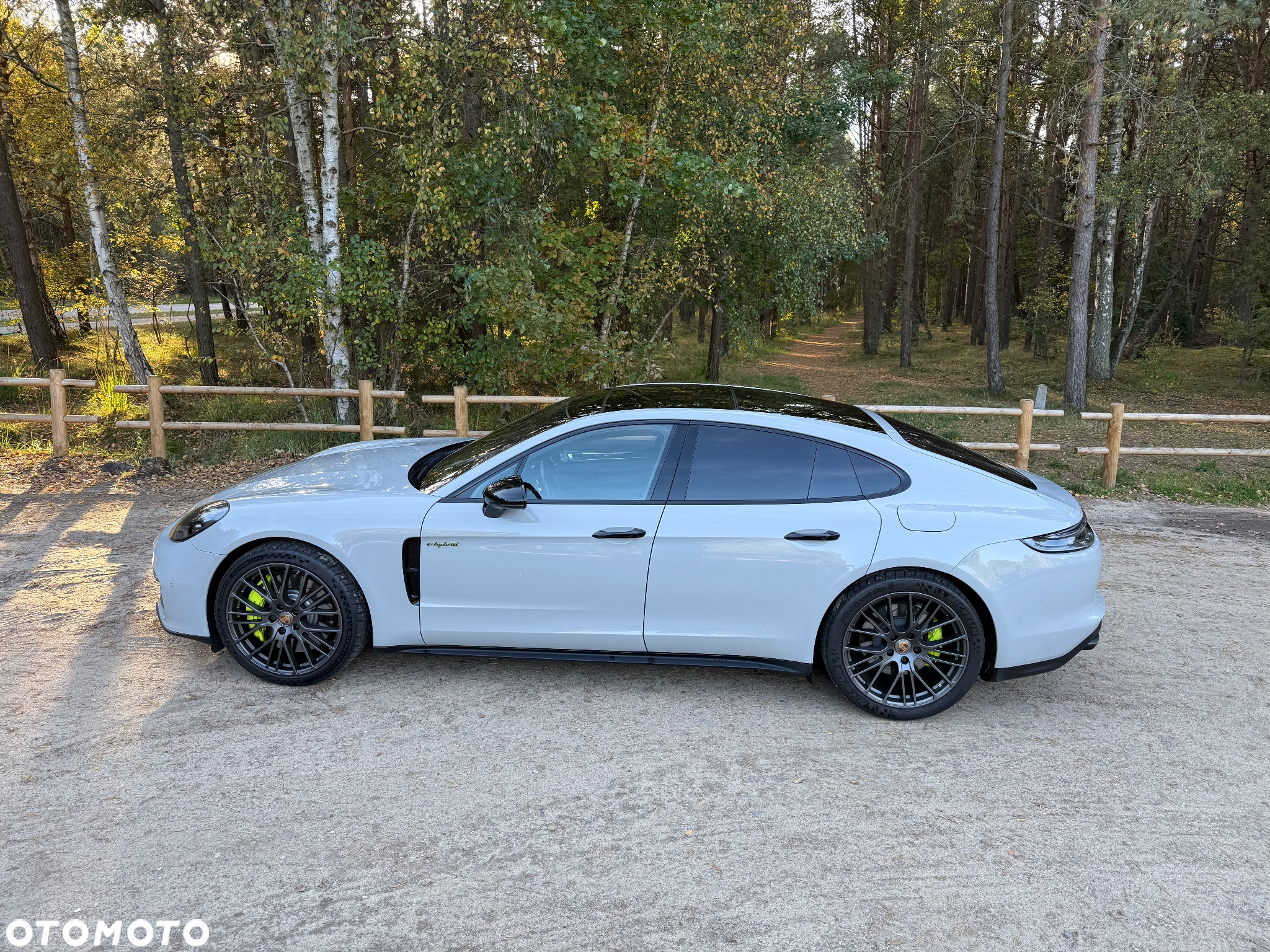 Porsche Panamera 4S E-Hybrid - 25
