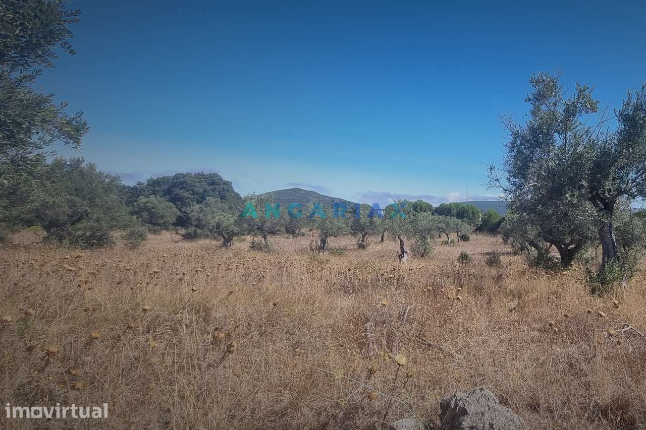 ANG1195 - Terreno para Venda em Alcanena, Santarém - Grande imagem: 2/13