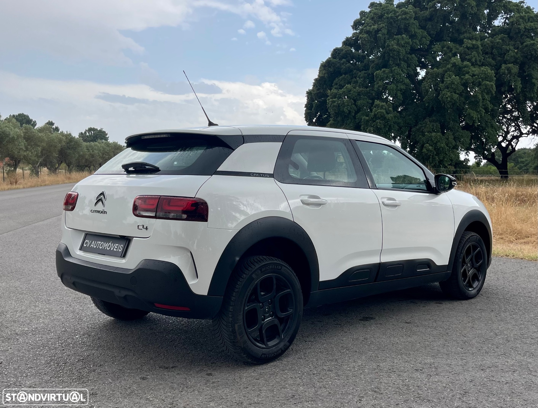 Citroën C4 Cactus 1.5 BlueHDi Feel - 5