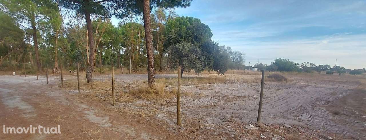 Terreno  para arrendamento - Grande imagem: 2/4