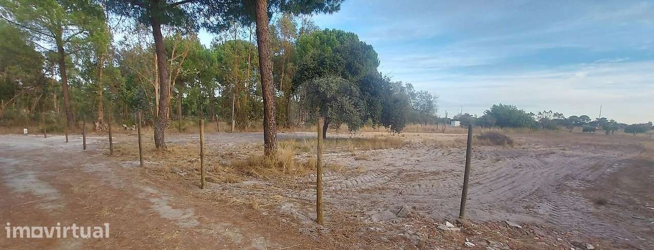 Terreno  para arrendamento - Grande imagem: 2/4