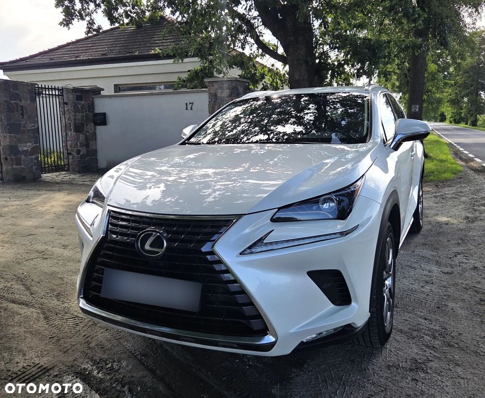 Lexus NX 300 Comfort AWD - 10