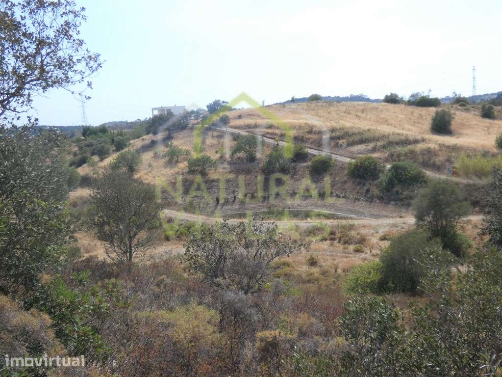 2,2 Hectares: Ruína com terreno em São Bartolomeu de Messines - Grande imagem: 4/5