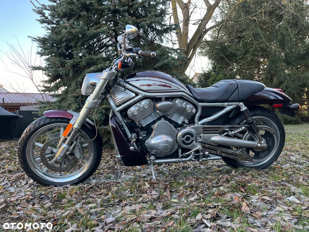 Harley-Davidson V-Rod Street Rod - 1