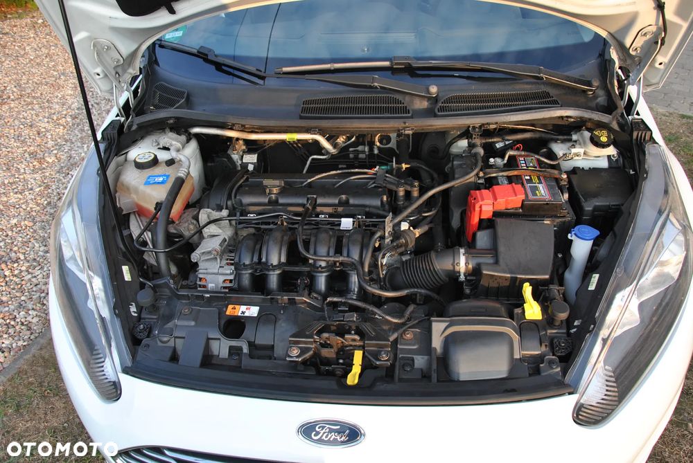 Ford Fiesta 1.25 Champions Edition - 12