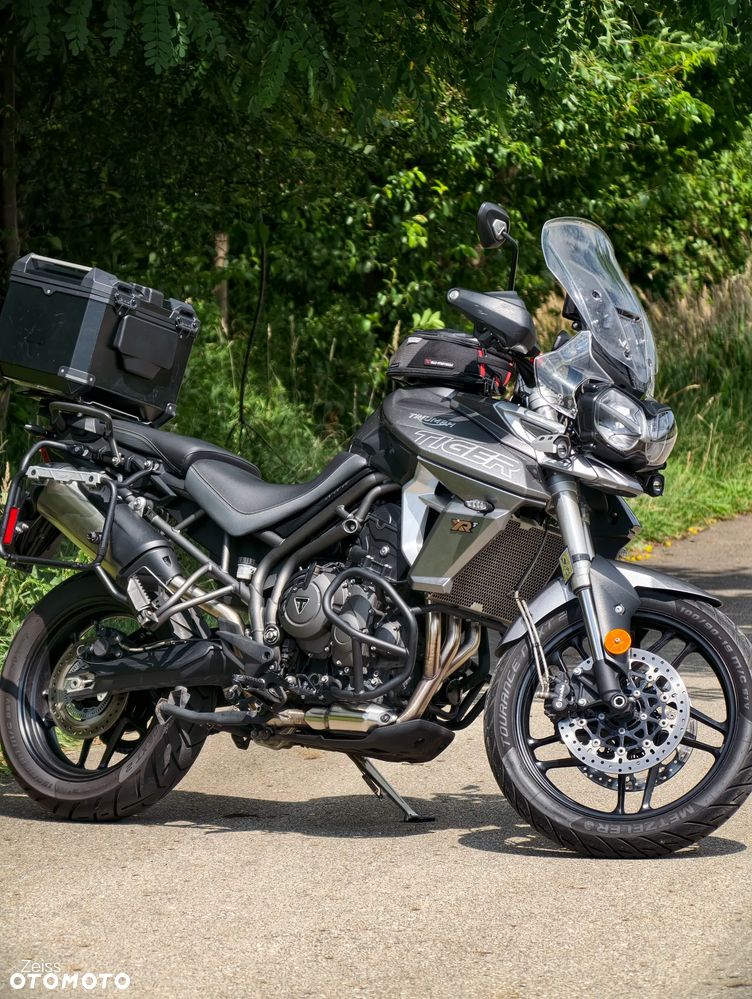 Triumph Tiger - 1