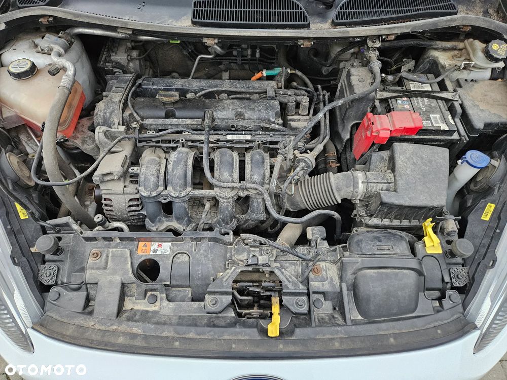 Ford Fiesta 1.25 Trend - 23