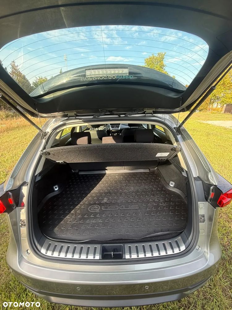 Lexus NX - 14