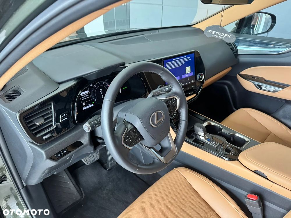 Lexus NX - 13