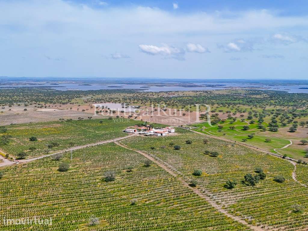 Herdade agropecuária de 550 ha junto ao alqueva com olival - Grande imagem: 2/60